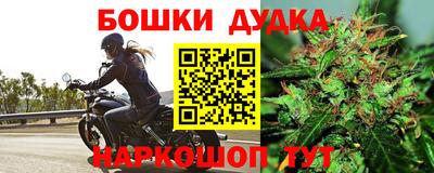 крисы Кунгур