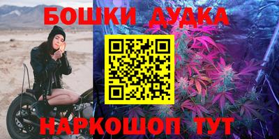 крисы Кунгур