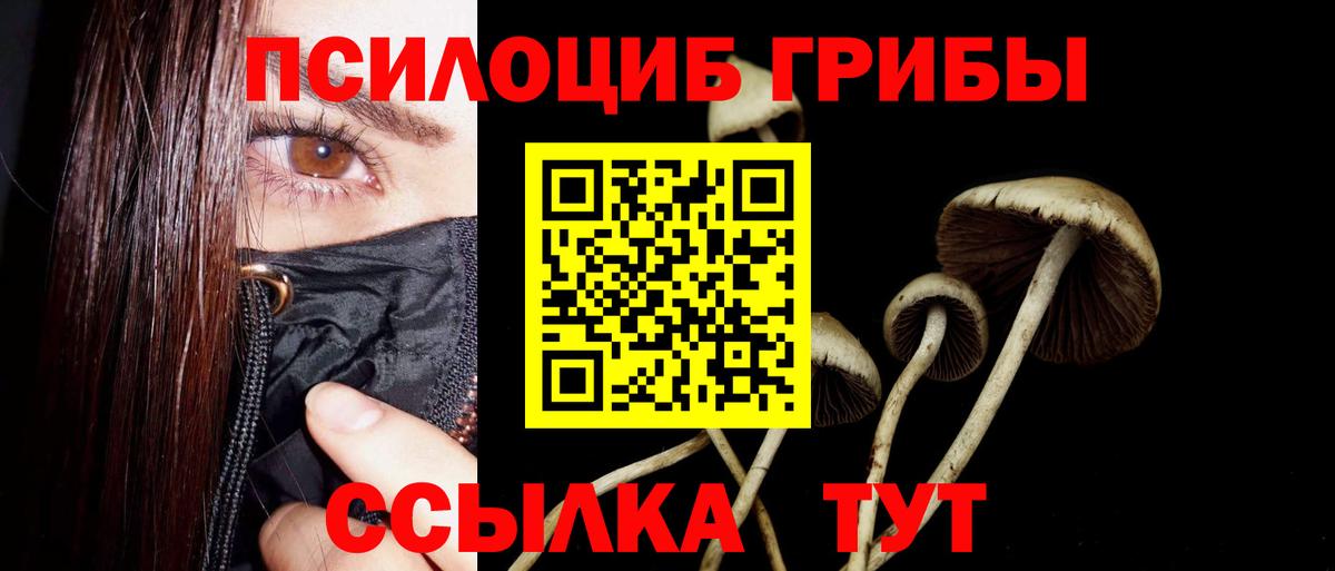 Галлюциногенные грибы Magic Shrooms  Вход с VPN  Псилоцибиновые грибы GOLDEN TEACHER  Каспийск 